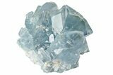 Sparkly Celestine (Celestite) Crystal Cluster - Madagascar #191200-1